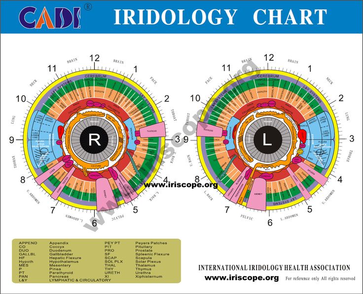 Iridology Chart : Comment le lire